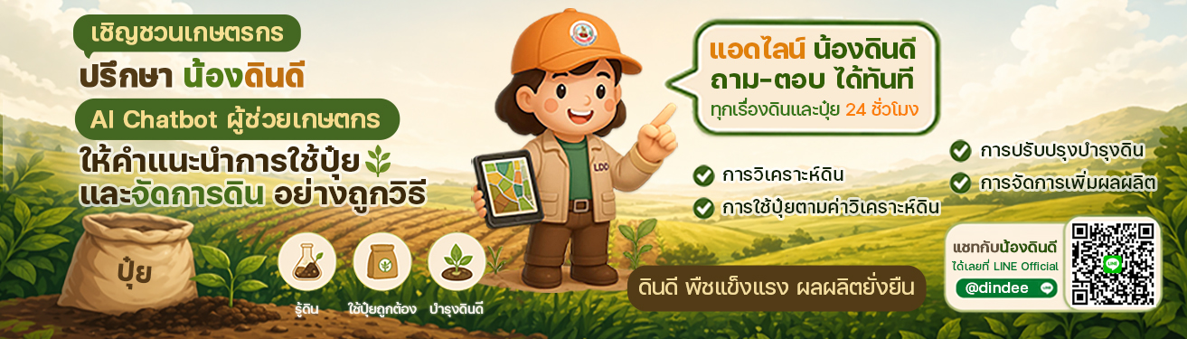 AI Chatbot คุยกับน้องดินดี