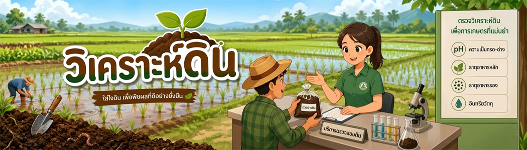 วิเคราะห์ดิน